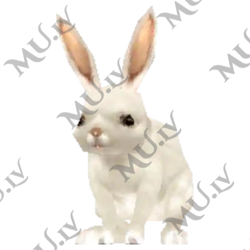 Golden Rabbit