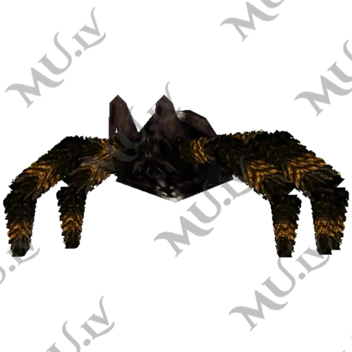 Spider 1…2